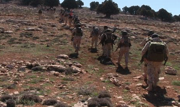 hezbollah army